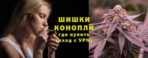 ГАЛЛЮЦИНОГЕННЫЕ ГРИБЫ Верхний Тагил