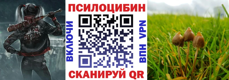 OMG tor  купить наркоту  Люберцы  Галлюциногенные грибы MAGIC MUSHROOMS 